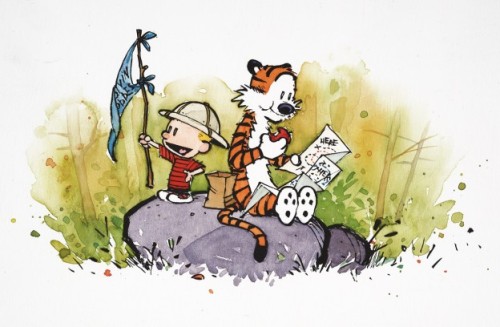 Calvin & Hobbes : A fascinating world